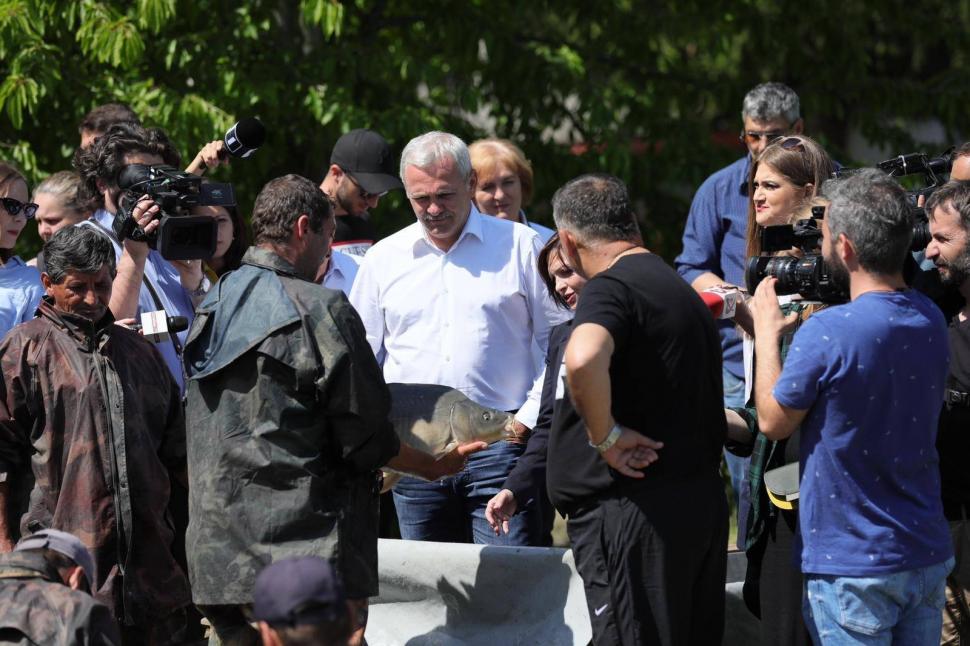 Liviu Dragnea: Vom demara rapid un program național de repopulare a Dunării și a Deltei Dunării cu cu puiet de crap, somn, șalău 594671