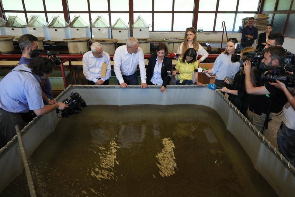 Liviu Dragnea: Vom demara rapid un program național de repopulare a Dunării și a Deltei Dunării cu cu puiet de crap, somn, șalău 594674