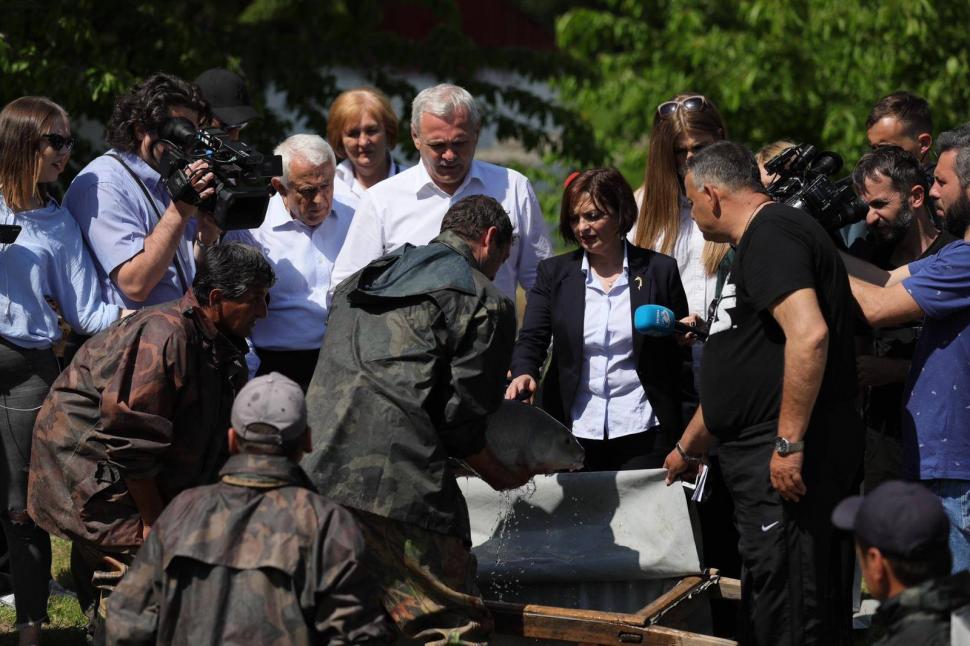 Liviu Dragnea: Vom demara rapid un program național de repopulare a Dunării și a Deltei Dunării cu cu puiet de crap, somn, șalău 594676