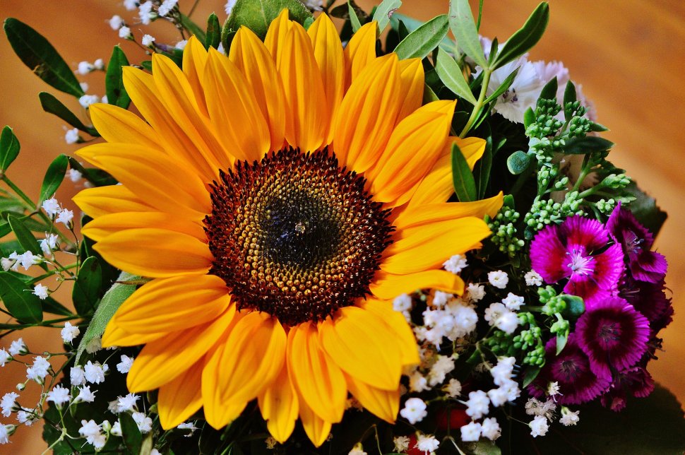 Cauti un cadou deosebit? O florarie online din Bucuresti te invata ce flori sa alegi vara! (P)