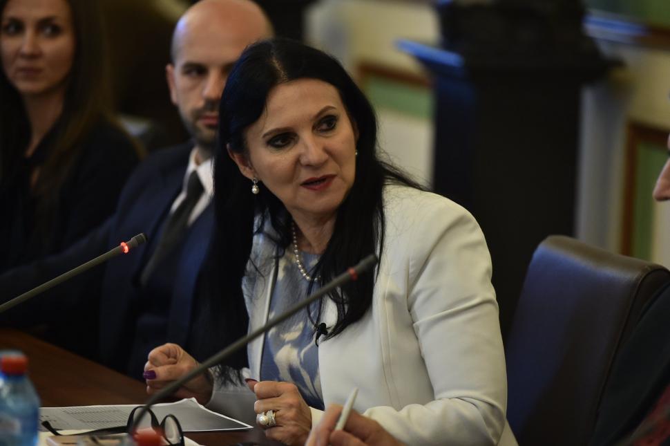 Scandal în PSD între Sorina Pintea și deputatul Cătălin Rădulescu: Declarațiile lui despre medici nu reprezintă PSD