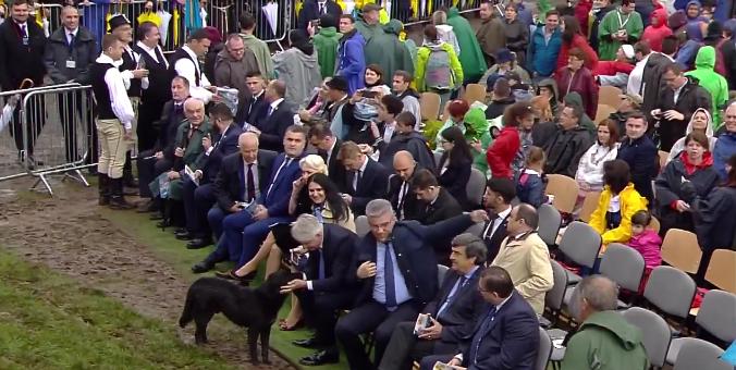 Scenă de senzație la Șumuleu înainte de venirea Papei Francisc. Ce a făcut un ministru în direct. Totul s-a văzut la televizor VIDEO 596946