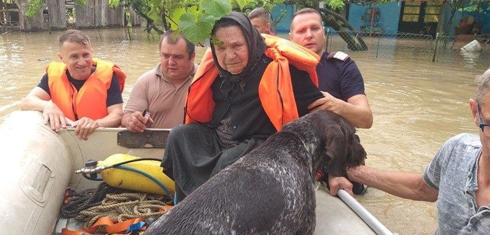 Imagini tulburătoare din județul Timiș. Pompierii au salvat din calea apelor și un câine fidel, care nu și-a abandonat stăpânii
