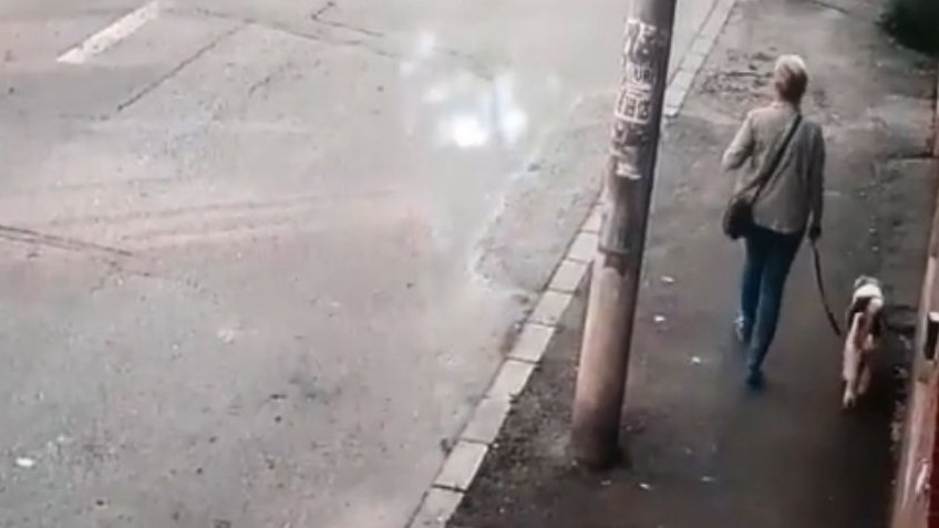 Scene șocante surprinse pe o stradă în București. Un câine este atacat de un Amstaff lăsat liber (VIDEO CU PUTERNIC IMPACT EMOȚIONAL)