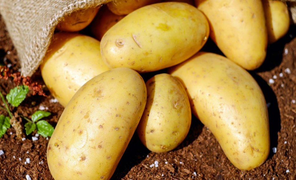 Cartofii s-au scumpit cel mai mult în mai, faţă de aprilie. Topul scumpirilor continuă cu citricele