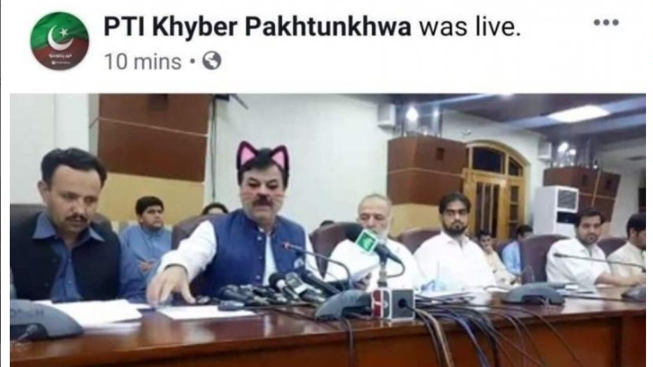  Un ministru a activat filtrul ”pisică” în timpul transmisiunii live. Spectatorii au izbucnit în hohote. Cum arătau parlamentarii - FOTO