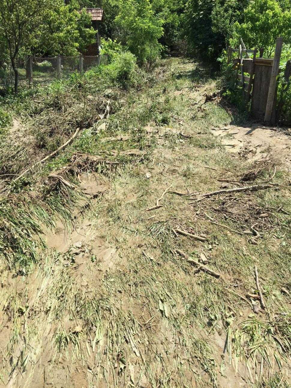 Gospodăria bărbatului dintr-o comună din Bistrița a fost inundată. Când apele s-au retras, omul a făcut o descoperire șocantă. „Erau peste tot” 599999