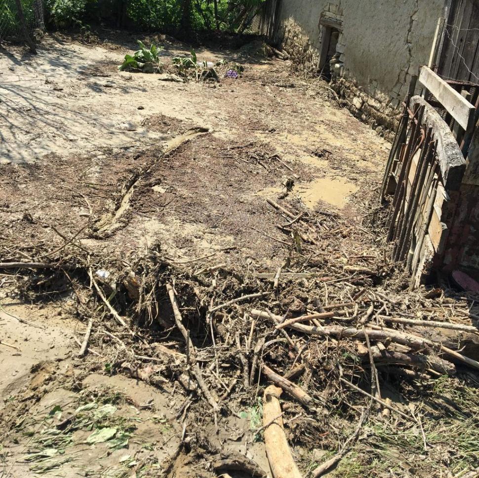 Gospodăria bărbatului dintr-o comună din Bistrița a fost inundată. Când apele s-au retras, omul a făcut o descoperire șocantă. „Erau peste tot” 600000