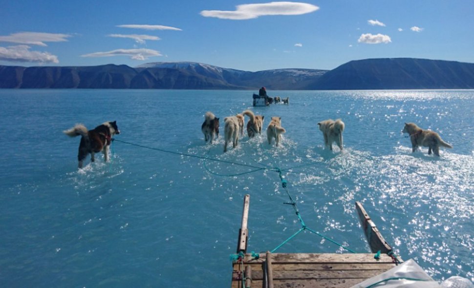Această fotografie face înconjurul lumii. Ce se întâmplă în Groenlanda?