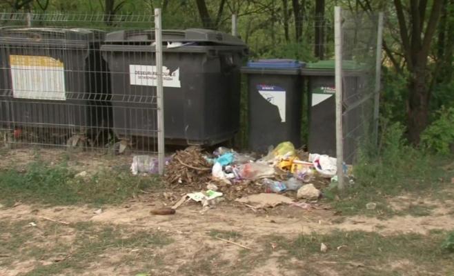 Câțiva muncitori din Cluj au avut parte de o descoperire absolut macrabră în momentul în care au deschis o ghenă de gunoi. „Erau îndesete...” - FOTO 601203