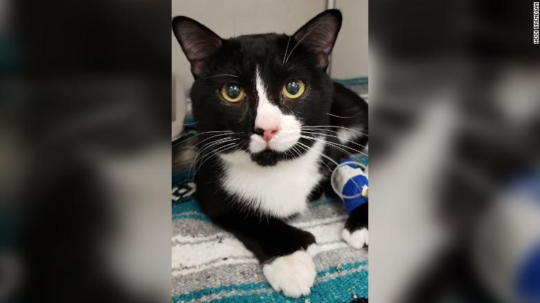 Femeia a pus rufele la spălat, a dat drumul la mașină și a plecat. 35 de minute mai târziu, când a vrut să le scoată, a văzut că sunt încă ude. A vrut să o pornească din nou, dar atunci a observat ceva printre haine. „Era chiar acolo!” (FOTO) 601669