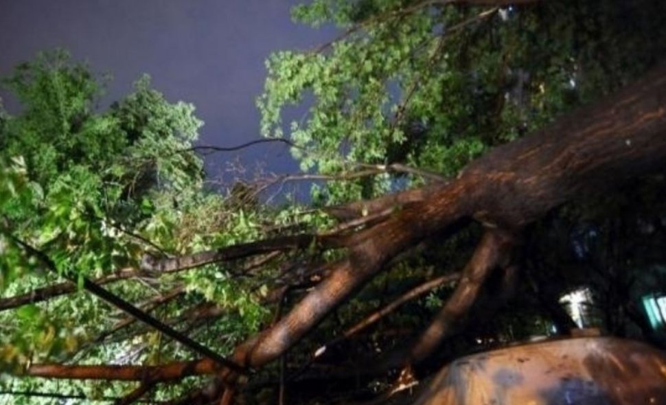 Fenomene meteorologice periculoase în 40 de localităţi din țară. Copaci căzuţi şi maşini avariate, după furtuni