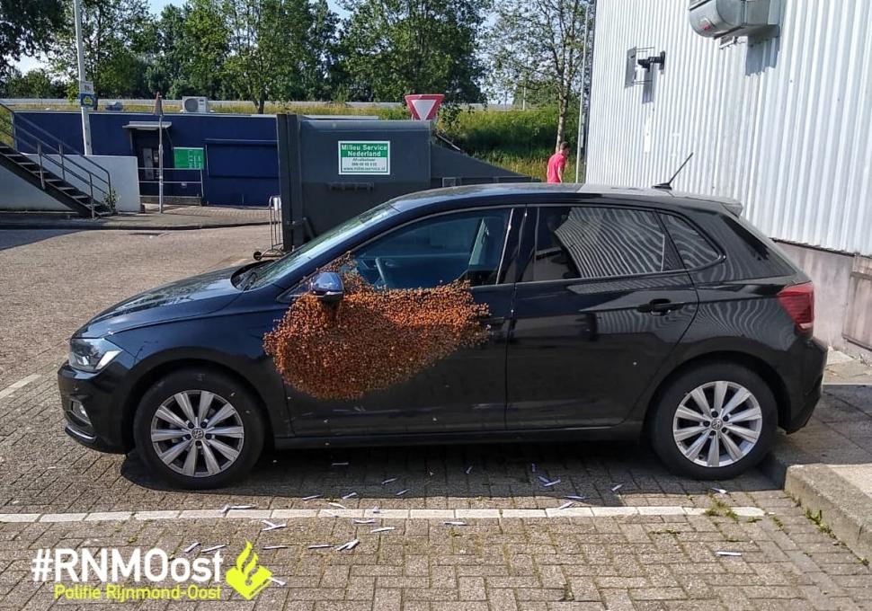 Își lăsase mașina în parcare peste noapte. A avut un șoc când a văzut-o dimineață. „Sunt cu zecile de mii” (FOTO) 601869