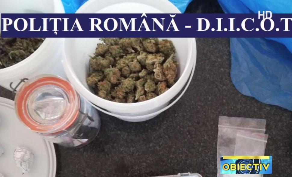 DIICOT, captură impresionantă de droguri. Patru tineri din Cluj mergeau cu 10 kilograme de droguri la cel mai mare festival de pe litoral