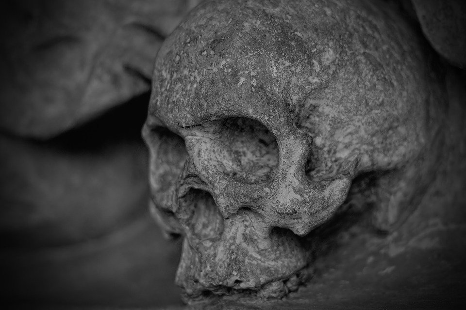 Craniu vechi de 33.000 de ani, descoperit într-un sat din Hunedoara. Concluzia incredibilă trasă de specialiști