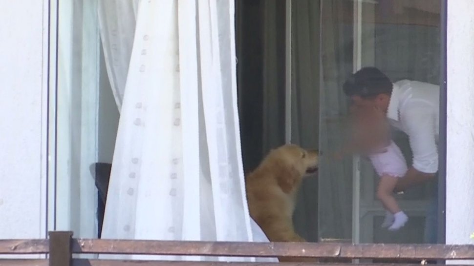Noi imagini din casa în care s-ar afla Elena Udrea. Adrian Alexandrov, apariție cu copilul pe terasă - VIDEO