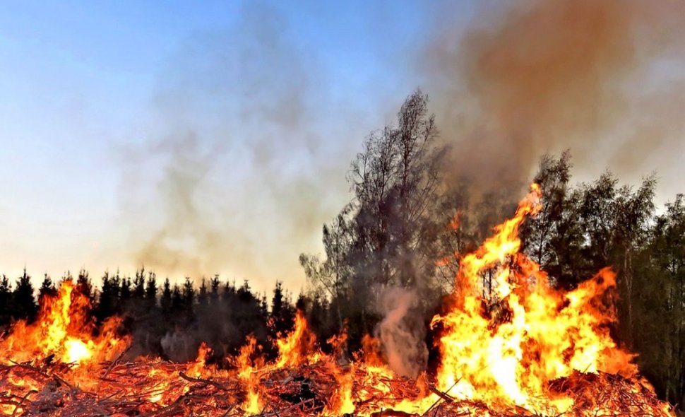 Canicula continuă să provoace dezastre în destinaţii turistice importante din Europa. Este risc de incendii!