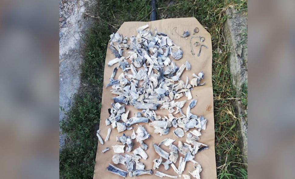 Așa arată resturile de oase și dinții pe care le-au găsit polițiștii în curtea suspectului în cazul Alexandrei 607440