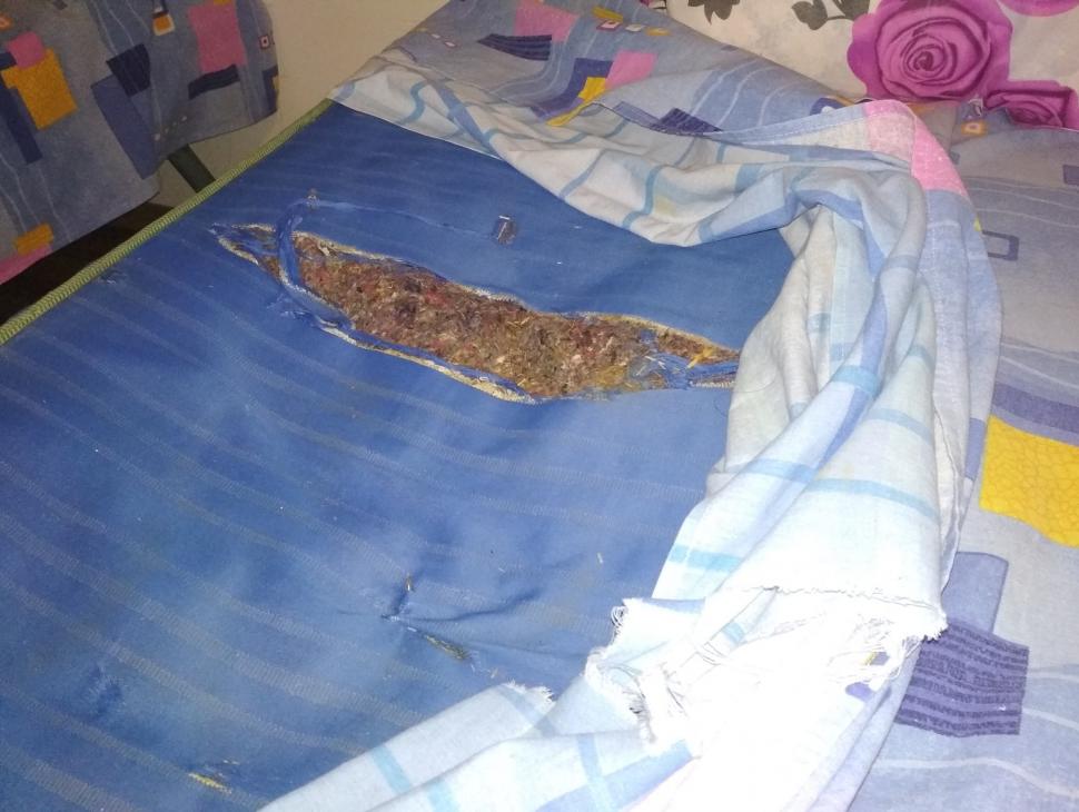 Un elev olimpic ce se afla la un concurs în Teleorman a fost cazat la un internat. Când a ajuns acolo și a văzut ce se află a trăit șocul vieții sale. Imaginile au ajuns virale (FOTO)  607721