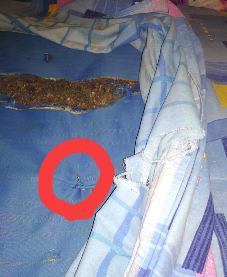 Un elev olimpic ce se afla la un concurs în Teleorman a fost cazat la un internat. Când a ajuns acolo și a văzut ce se află a trăit șocul vieții sale. Imaginile au ajuns virale (FOTO)  607722