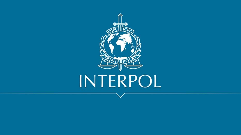 Interpol, cu ochii pe cazul criminalului de la Caracal: "Mie mi se pare că Dincă este o persoană cu probleme mari din punct de vedere psihic”