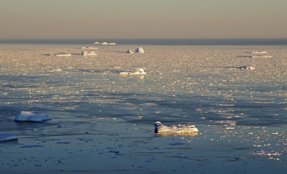 Încălzirea globală are urmări dramatice. Gheața se topește într-un ritm alarmant în regiunea arctică