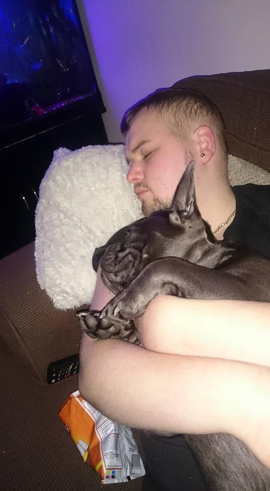 Loialitate până la final! Stăpânul lui a murit de cancer, iar câinele nu a putut trăi fără el. S-a întâmplat atât de repede! 610727