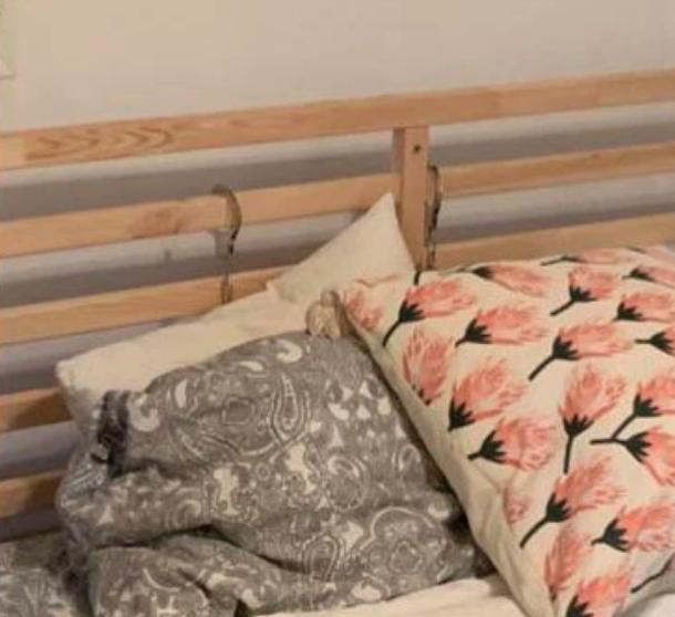 I-a trimis mamei o poză din noul său dormitor, dar adolescenta a ratat un detaliu rușinos. „Sunt atat de idioată!” (FOTO) 611041