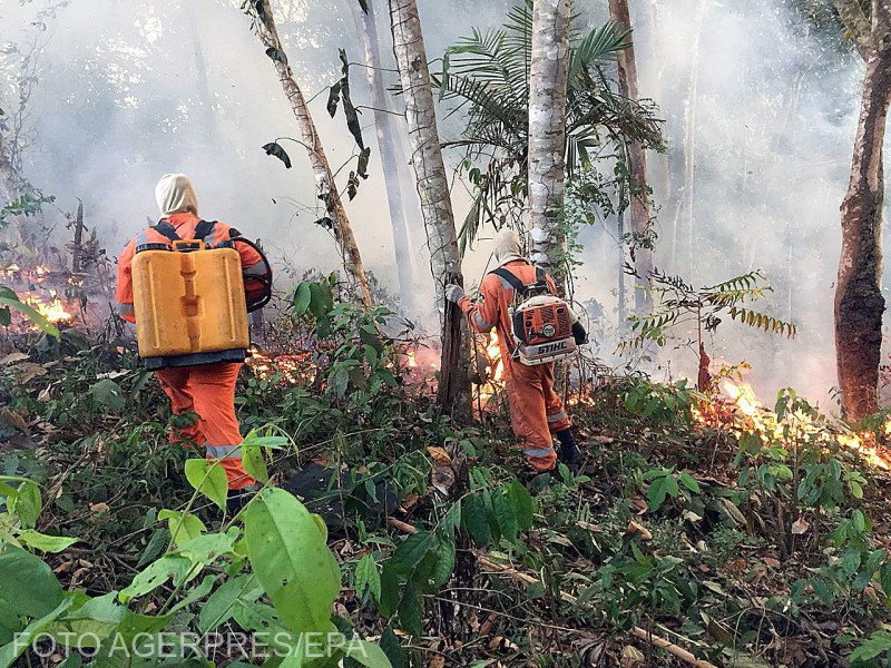 Numeroase incendii devastează Pădurea amazoniană. Preşedintele francez Emmanuel Macron: „Ne arde casa” 