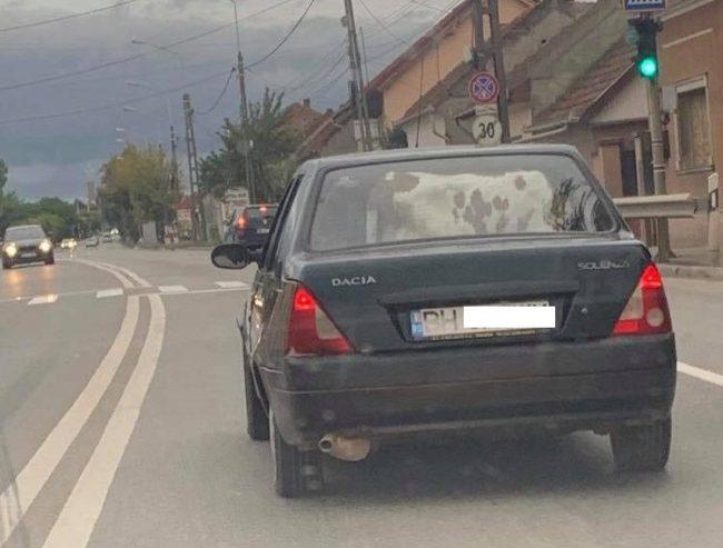 Se afla pe o șosea, în drum spre Oradea, când a văzut ceva de neimaginat într-o mașină. Pare o glumă, dar e cruda realitate! (FOTO) 611478