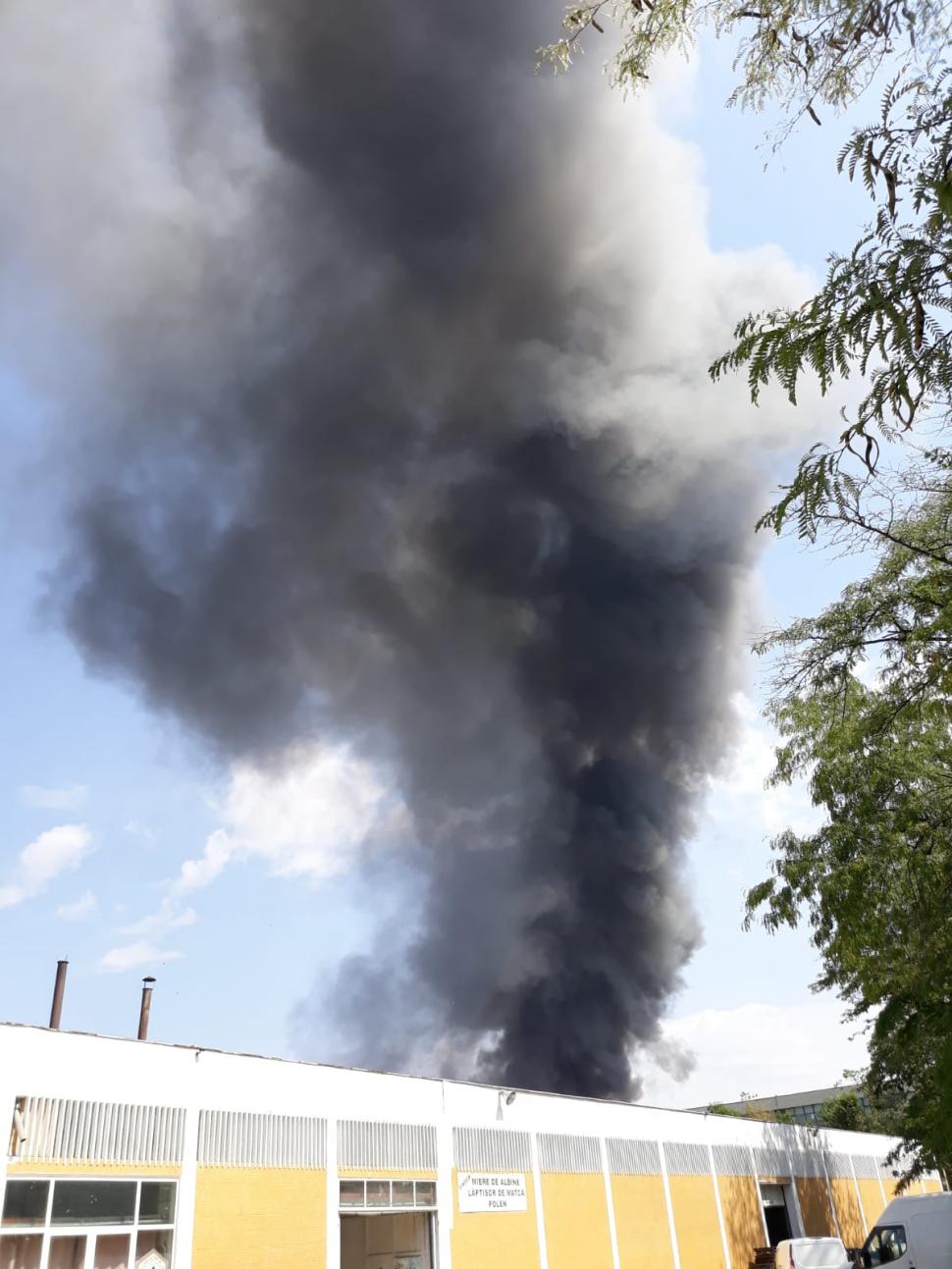 Incendiu puternic în zona Pipera din Capitală. Sute de oameni, evacuați. Nor gros de fum, vizibil de la câțiva kilometri 612329