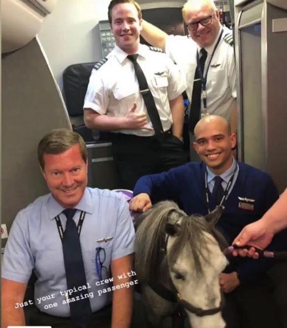 Pasagerii unui avion au crezut că nu văd bine, atunci când s-au urcat la bord. Era chiar acolo printre ei. Nu vezi așa ceva în fiecare zi! (FOTO) 613279