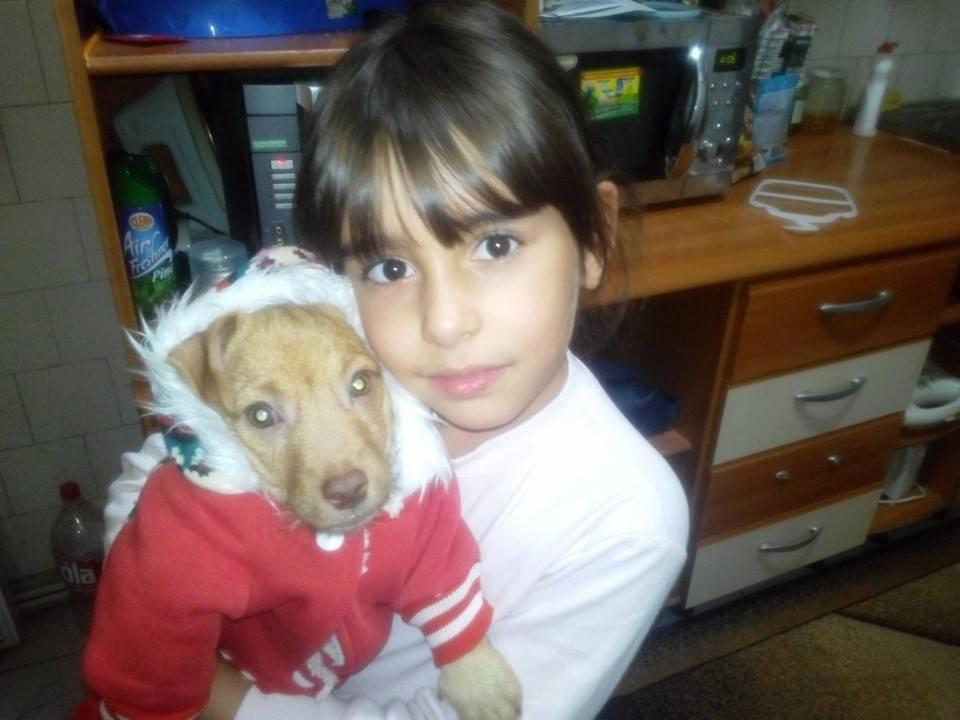 Irina Maria Aldea are, la doar 14 ani, zeci de picturi și a publicat deja primele ei volume de poezii. Visul ei se poate nărui oricând din cauza afecțiunii de care suferă. Copila mai are acum o șansă 614420