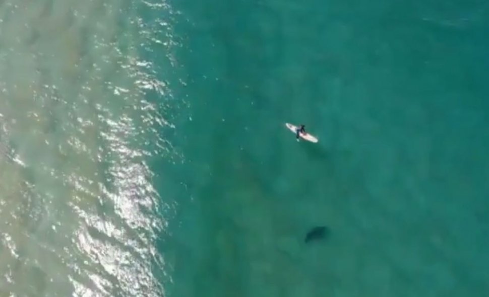 Un australian a filmat cu drona cum un rechin uriaș se apropia de un surfer. Ce a urmat. VIDEO