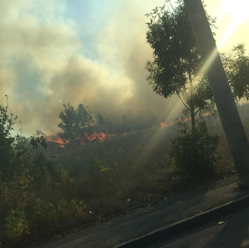 Incendiul de vegetaţie din București a fost stins. S-a reluat traficul pe Splaiul Unirii