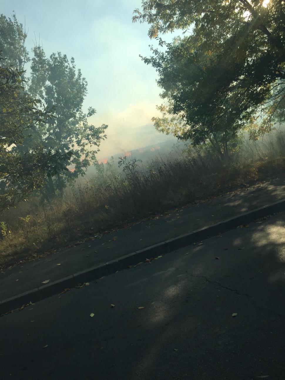 Incendiul de vegetaţie din București a fost stins. S-a reluat traficul pe Splaiul Unirii 617168