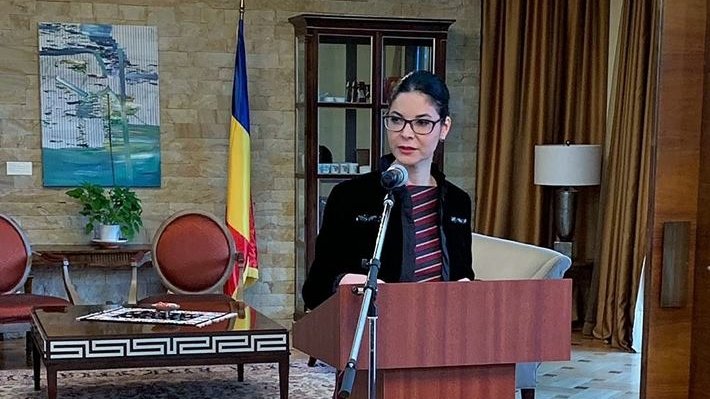 Ana Birchall, despre întâlnirea cu șeful DIICOT:  I-am spus că este inacceptabil modul în care el a acționat în cazul familei Melencu