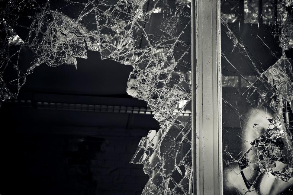 Oamenii au intrat pe geam într-un apartament din Constanța și au avut parte de șocul vieții lor: „Colcăiau peste tot!”