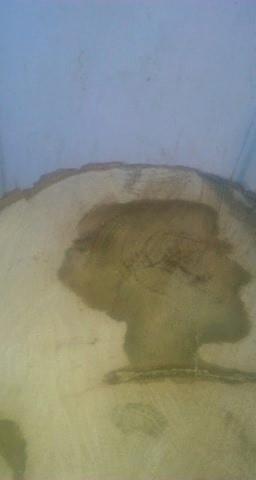 Tiberiu se pregătea să facă un grătar și a început să taie câteva lemne. La un moment dat a simțit cum începe să-i tremure mâna. A lovit și atunci a văzut minunea: Este foarte clar! (FOTO)  619628