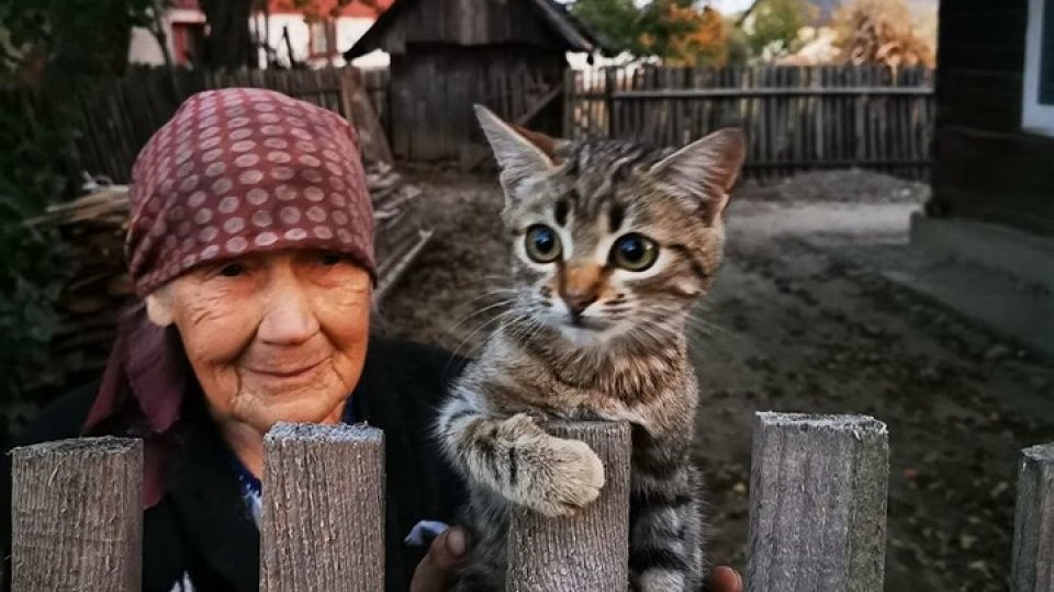 Fotografia unei bunicuţe din Bucovina a devenit virală. A înduioşat mii de oameni!