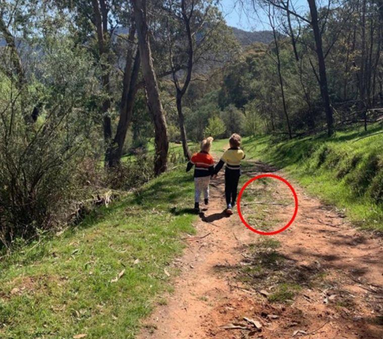 Ieșise să se plimbe cu copiii ei în apropiere de casă și le-a făcut o poză. Mai târziu, când s-a uitat la ea, i s-a făcut rău. „Dumnezeule, era chiar acolo!” (FOTO) 620107