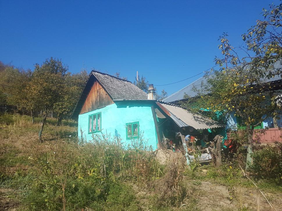 Locul din România în care mai trăiesc doar opt familii. Adrian are nouă ani și merge prin pădure ca să ajungă la școală în satul vecin.Tatăl îl așteaptă în vârful dealului de frica animalelor - FOTO 621048