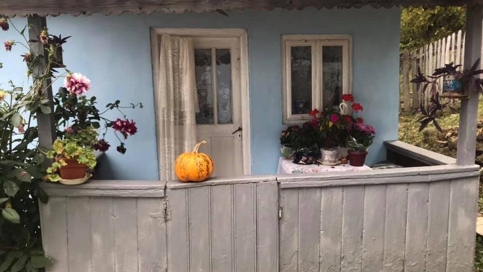 Locul din România în care mai trăiesc doar opt familii. Adrian are nouă ani și merge prin pădure ca să ajungă la școală în satul vecin.Tatăl îl așteaptă în vârful dealului de frica animalelor - FOTO 621051