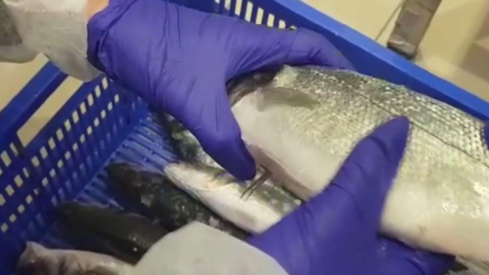 Două supermarketuri Carrefour, închise. Neregulile grave găsite de inspectorii de la Protecţia Consumatorilor  622751