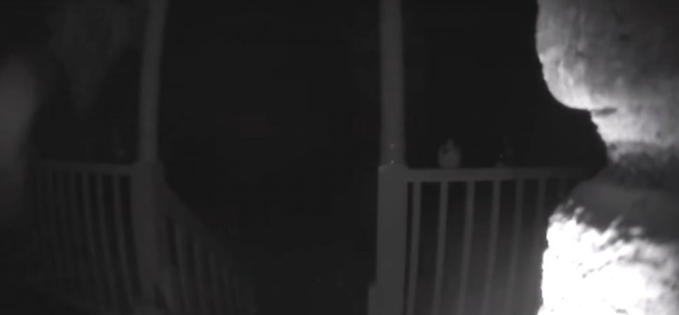 Oamenii s-au trezit în miezul nopții că sună cineva la ușă. S-au speriat de moarte, dar când au văzut cine era, au murit de râs. „Uitaseră total de el!” (VIDEO)