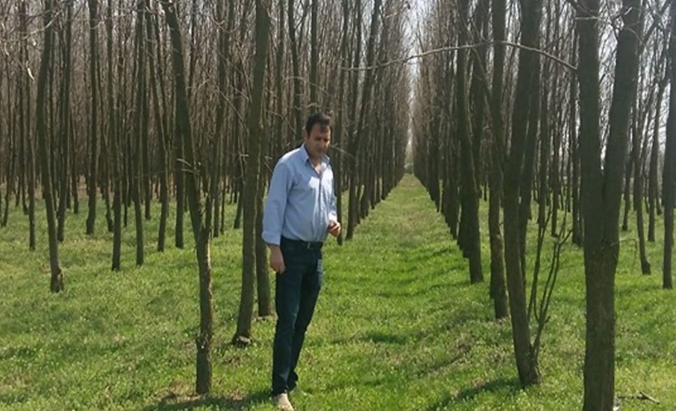 Un fermier din Teleorman a plantat pe pământul său 40.000 de copaci. Garda de Mediu a mers acolo şi l-a amendat