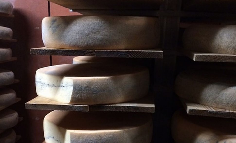 Brânza unică în lume, făcută într-o peşteră din România. Cât costă un kilogram
