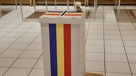 ALEGERI PREZIDENȚIALE 2019. Apariție inedită într-o secție de vot din Germania. Toți cei prezenți au rămas fără cuvinte (FOTO)