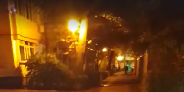 Alin ieșise aseară la o țigară în fața blocului, pe un bulevard din București, când a zărit o creatură stranie venind spre el: E în libertate prin oraș!