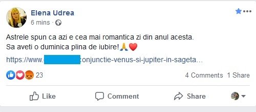 Elena Udrea, mesaj bizar pe Facebook, în ziua votului 